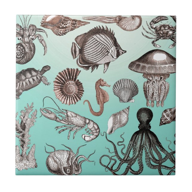 Marine Life Ceramic Tile (Front)
