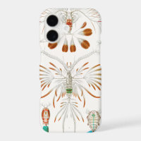 Marine Life Crustaceans, Copepoda by Ernst Haeckel