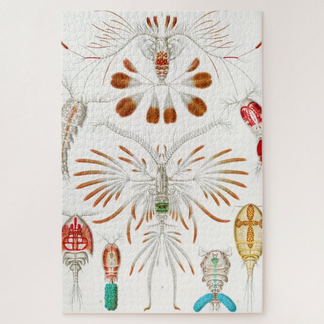 Marine Life Crustaceans, Copepoda by Ernst Haeckel Jigsaw Puzzle (Vertical)