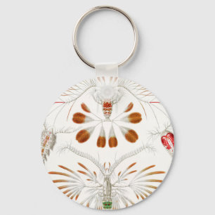 Marine Life Crustaceans, Copepoda by Ernst Haeckel Key Ring