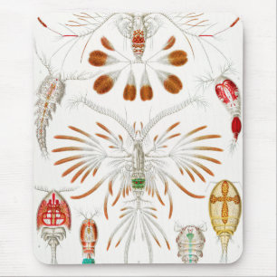 Marine Life Crustaceans, Copepoda by Ernst Haeckel Mouse Pad