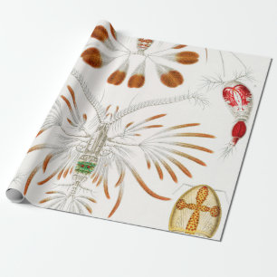 Marine Life Crustaceans, Copepoda by Ernst Haeckel Wrapping Paper