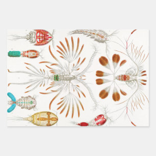 Marine Life Crustaceans, Copepoda by Ernst Haeckel Wrapping Paper Sheet