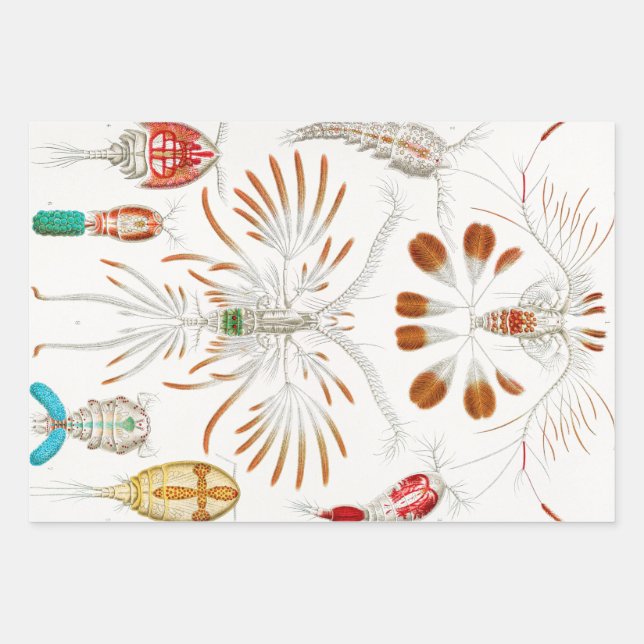 Marine Life Crustaceans, Copepoda by Ernst Haeckel Wrapping Paper Sheet (Front)
