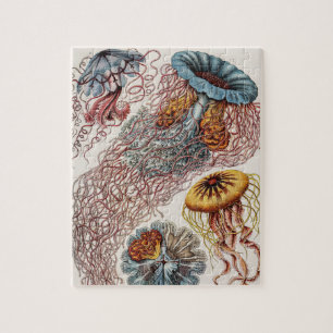 Marine Life Jellyfish Illustration - Ernst Haeckel Jigsaw Puzzle