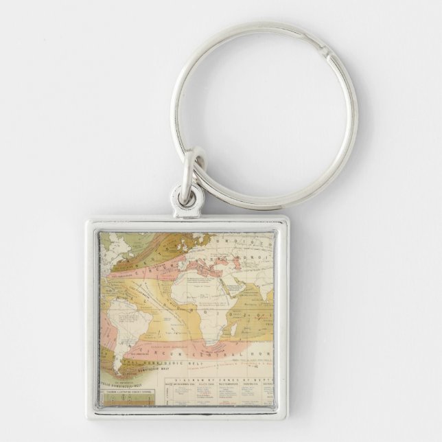 Marine life key ring (Front)