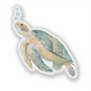 Marine Life Lover Sea Turtle Watercolor Art