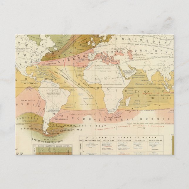 Marine life postcard (Front)