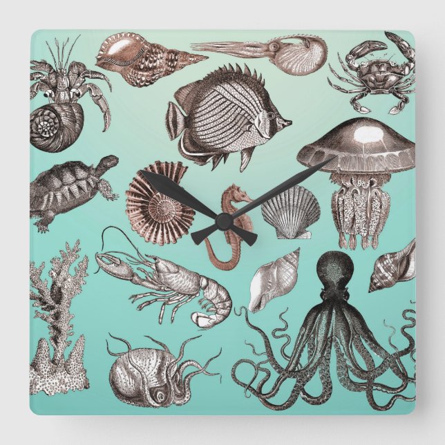 Marine Life Square Wall Clock (Front)