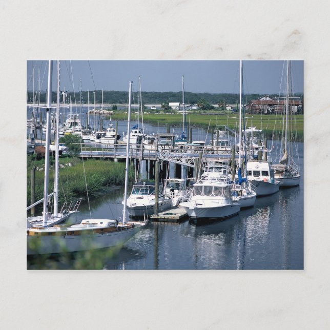 Marine Postcard (Front)