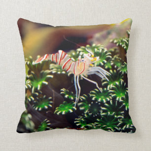 Marine Shrimp , Lebeus balssi Cushion