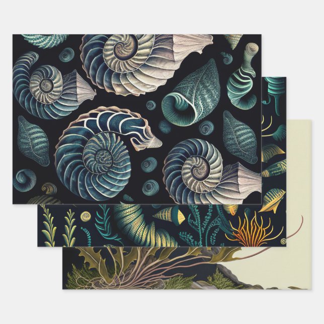 Marine Treasures Wrapping Paper Sheet (Set)