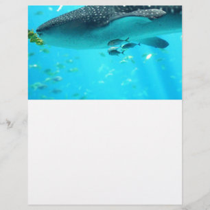 Marine Water Chic Stylish Cool Blue Whale Shark
