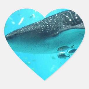 Marine Water Chic Stylish Cool Blue Whale Shark Heart Sticker