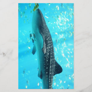 Marine Water Chic Stylish Cool Blue Whale Shark Stationery