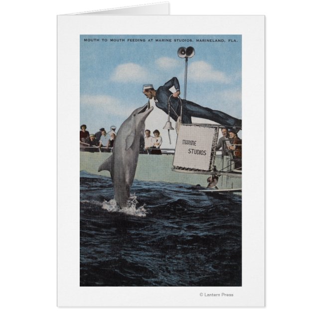 Marineland, Florida - Sailor Mouthfeeding (Front)