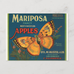 Mariposa Apples Postcard