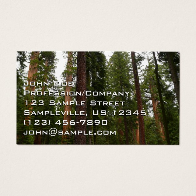 Mariposa Grove in Yosemite National Park (Front)