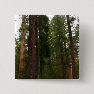 Mariposa Grove in Yosemite National Park 15 Cm Square Badge