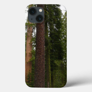 Mariposa Grove in Yosemite National Park iPhone 13 Case