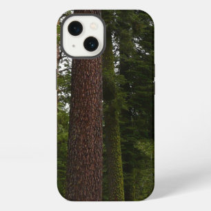 Mariposa Grove in Yosemite National Park iPhone 13 Case