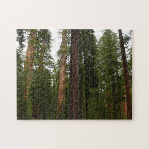 Mariposa Grove in Yosemite National Park Jigsaw Puzzle