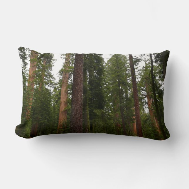 Mariposa Grove in Yosemite National Park Lumbar Cushion (Front)