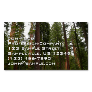 Mariposa Grove in Yosemite National Park Magnetic Business Card