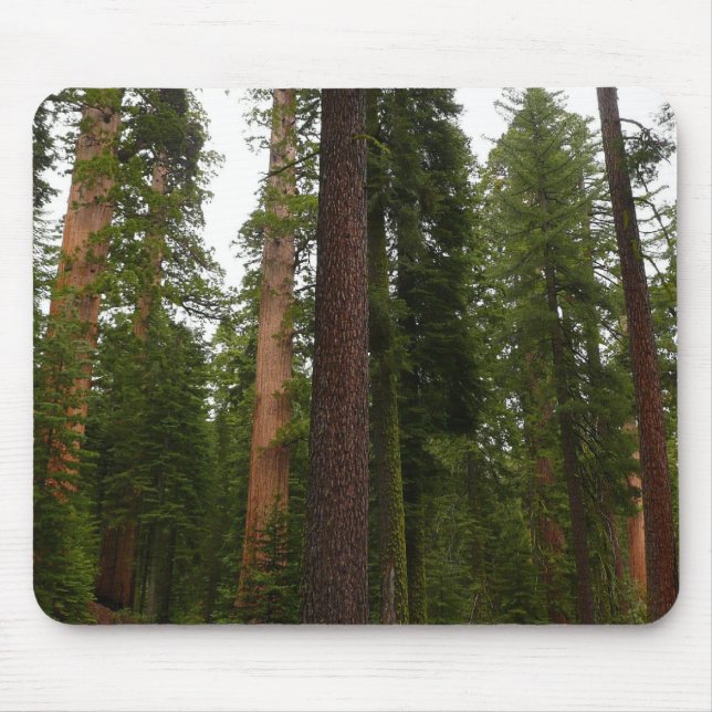 Mariposa Grove in Yosemite National Park Mouse Pad (Front)