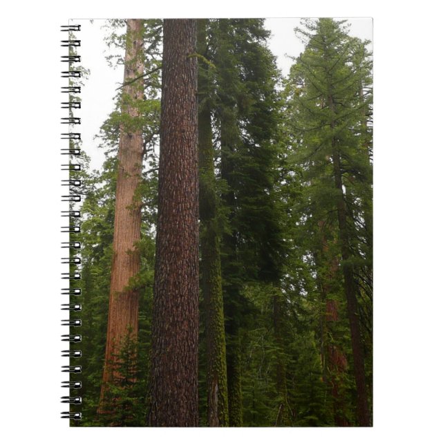 Mariposa Grove in Yosemite National Park Notebook (Front)