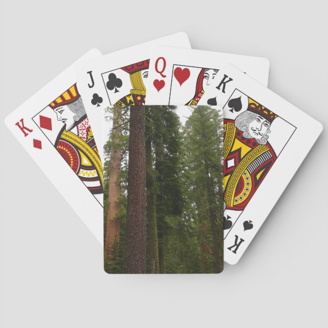 Mariposa Grove in Yosemite National Park Playing Cards (Back)