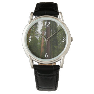 Mariposa Grove in Yosemite National Park Watch