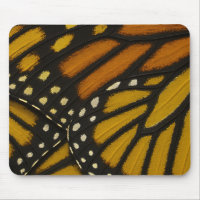 Mariposa Orange & Yellow Monarch Butterfly Wing