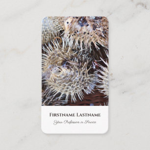 Maritime globefish blowfish travel agent experts business card