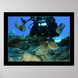 Mark and the Octopus Poster