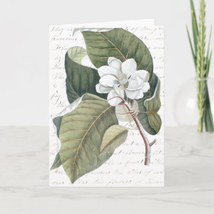 Mark Catesby Magnolia Collage w/ Essay on Flowers Card