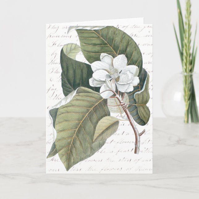 Mark Catesby Magnolia Collage w/ Essay on Flowers Card (Front)