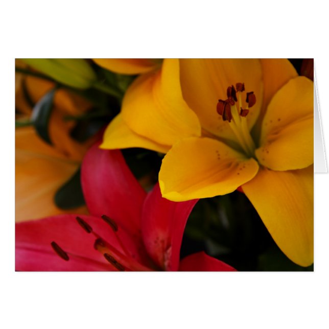 Market Flowers II (Front Horizontal)