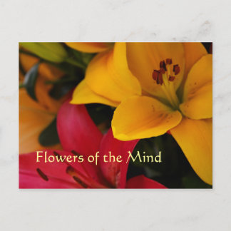 Market Flowers II Postcard