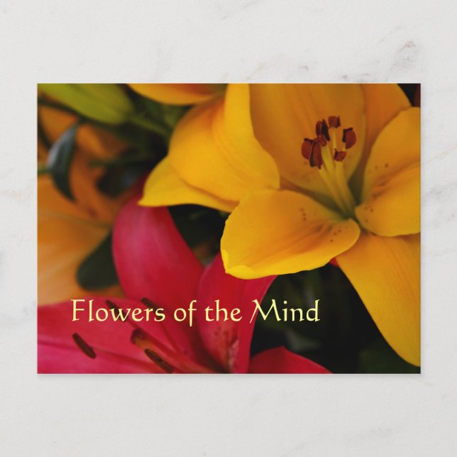 Market Flowers II Postcard (Front)