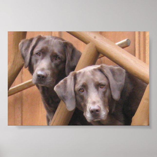 MARKS GALLERY POSTER (Front)