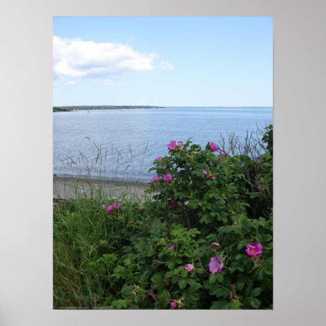 Marlboro Beach, Maine Poster (Front)