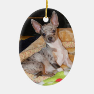 Marley~Class & Colour Collide Ceramic Tree Decoration