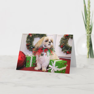 Marley — Shih Tzu — Robbins Holiday Card