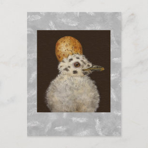 Marley the baby seagull postcard