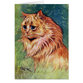 Marmalade Cat with Blue Eyes