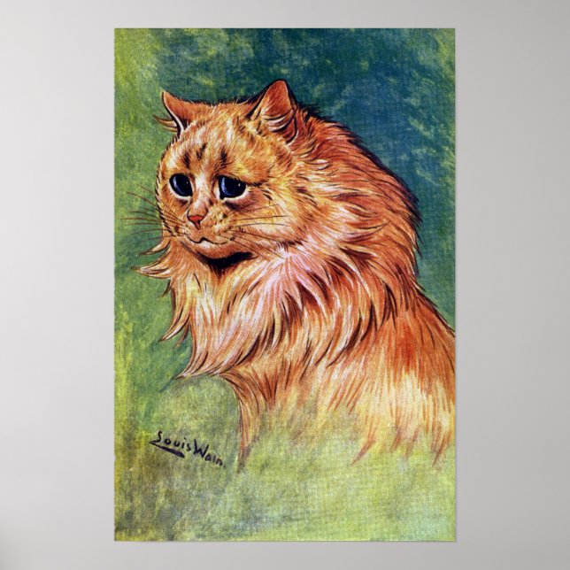 Marmalade Cat with Blue Eyes Poster (Front)