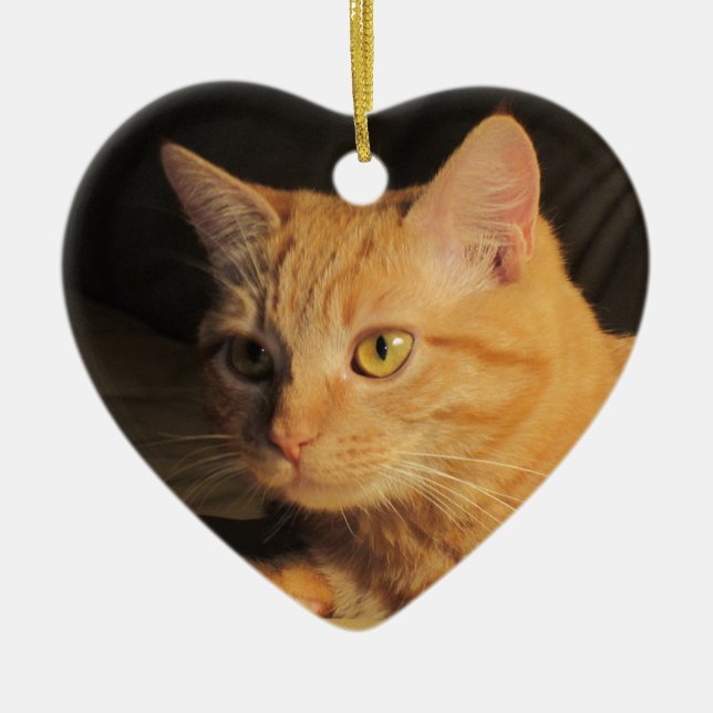 Marmalady Christmas 2012 Ornament (Front)