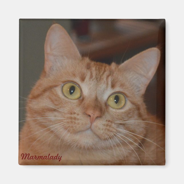 Marmalady & "The Smile" Magnet (Front)