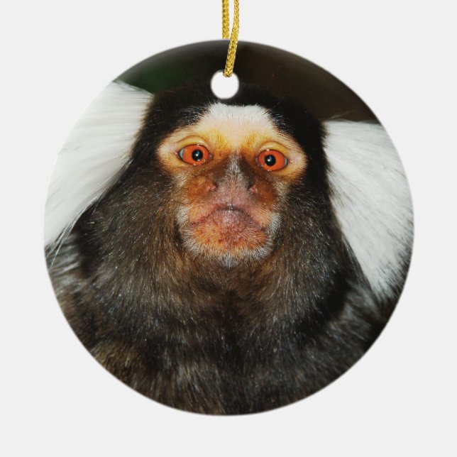 Marmoset hanging ornament (Front)